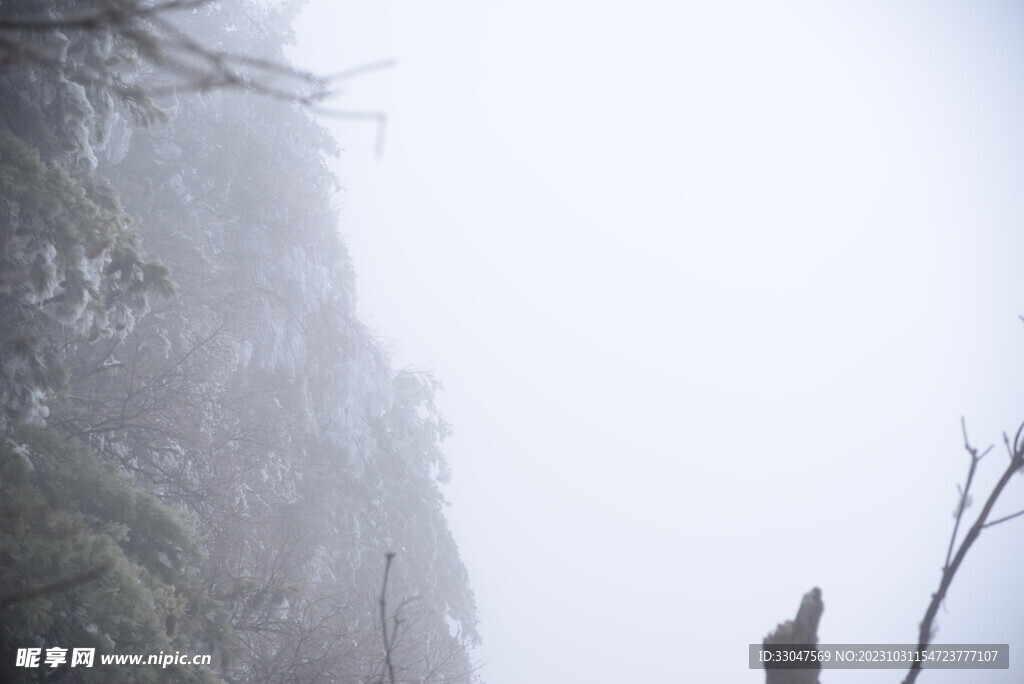 风景