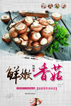 鲜嫩香菇