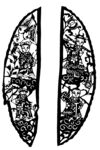 剪纸民俗           