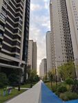 小区环境