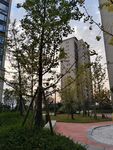 小区环境