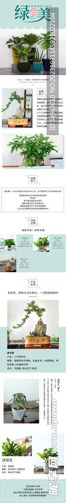 园艺绿植详情页