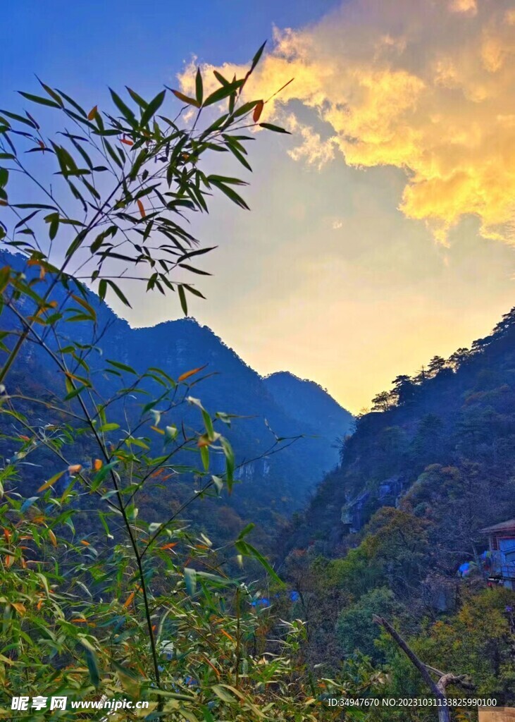 山