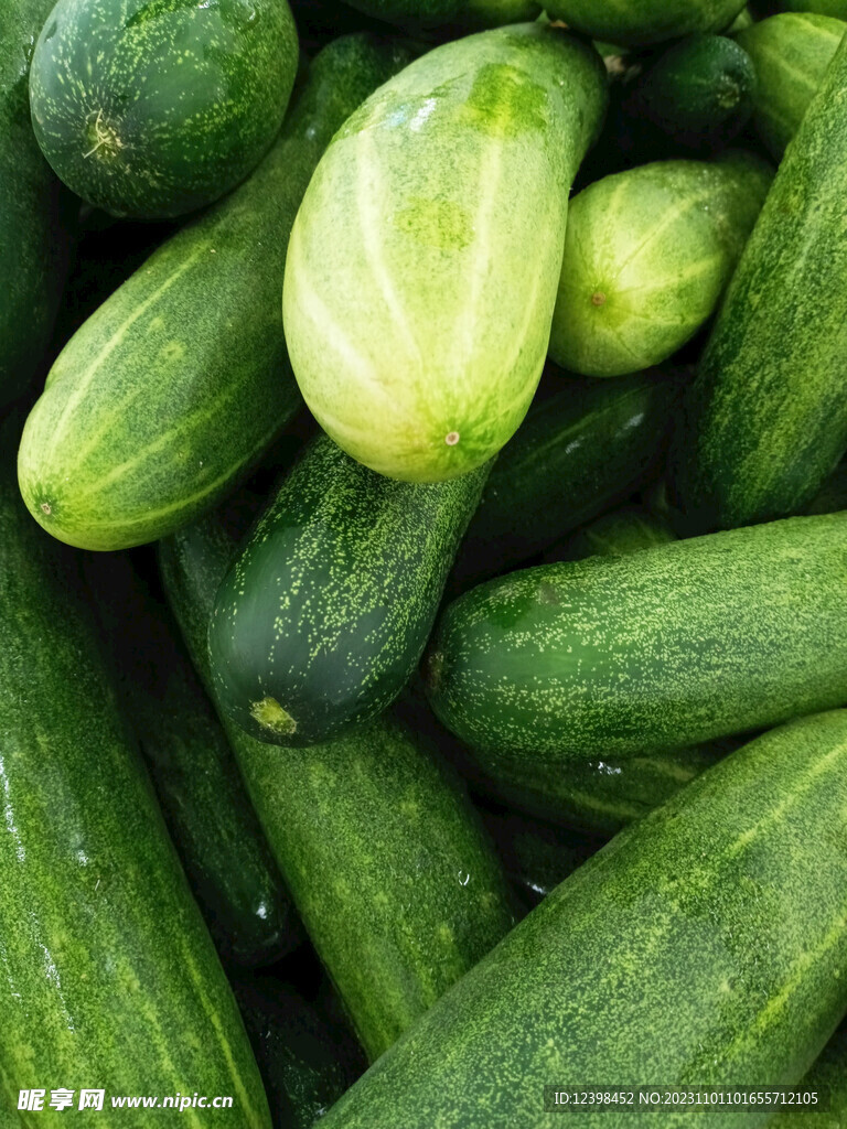 黄瓜