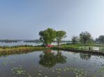 湖边停泊
