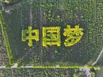 中国梦