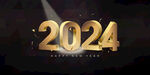 2024年