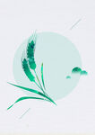 小麦