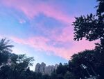 粉色天空