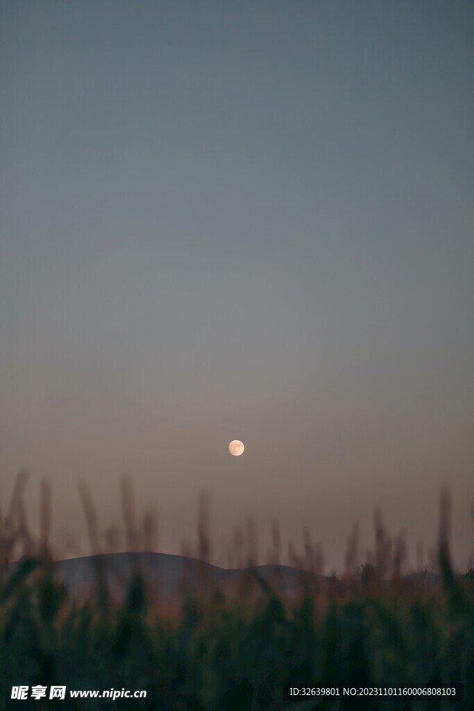 日落