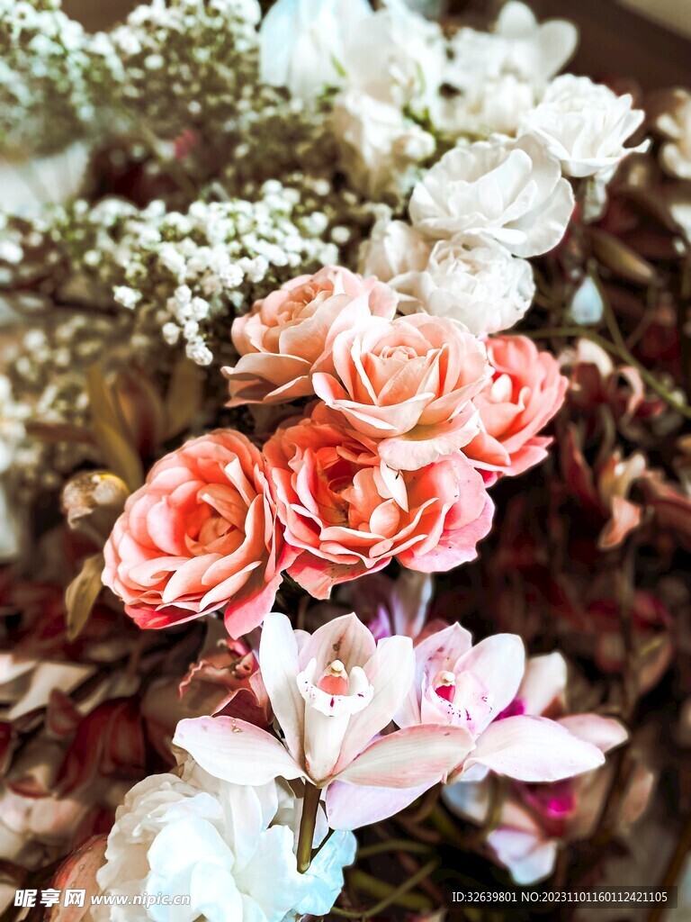 玫瑰花