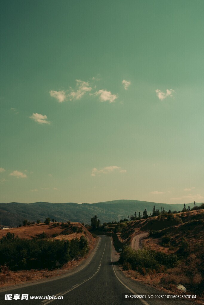 森林公路