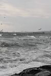 海面