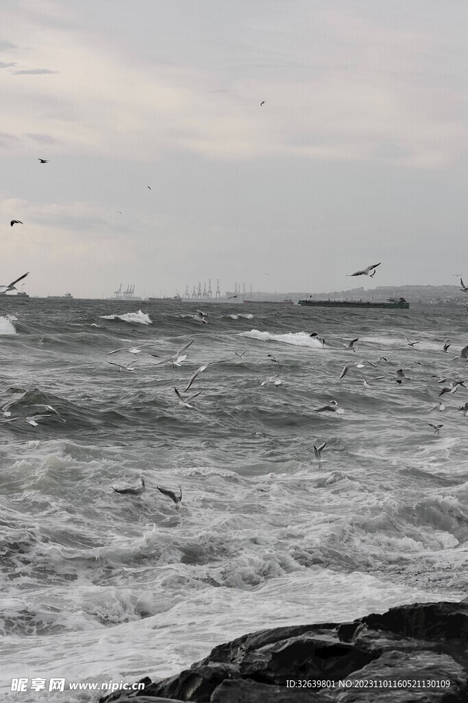 海面