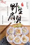 野生扇贝