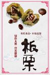 板栗