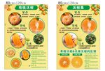 爱媛橙海报