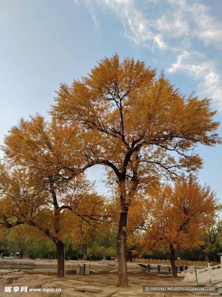 公园秋景