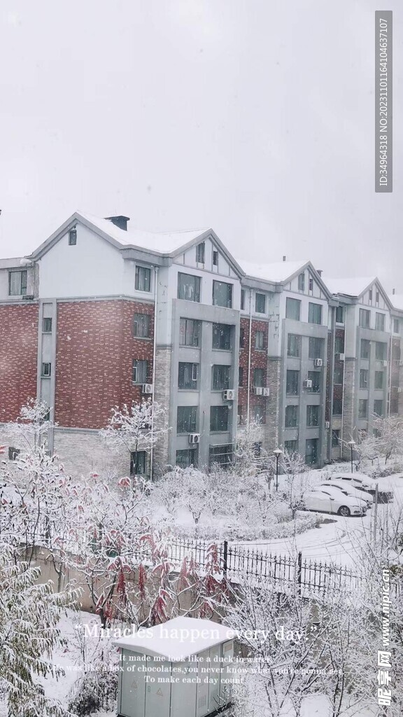 小区雪景