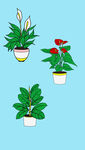 花