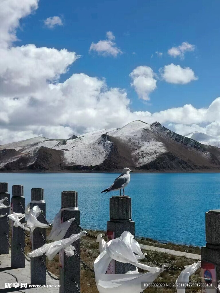 高山 天空