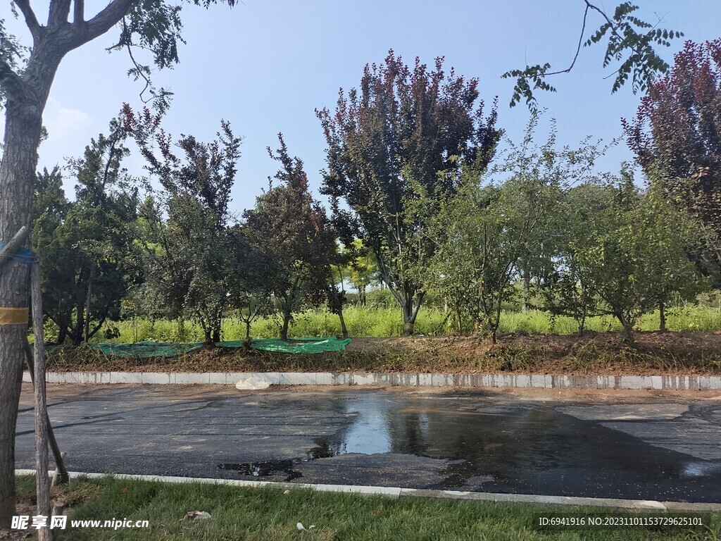 风景
