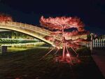 夜景