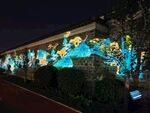 亮化图案