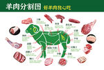 羊肉分割图