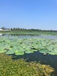 碧水蓝天