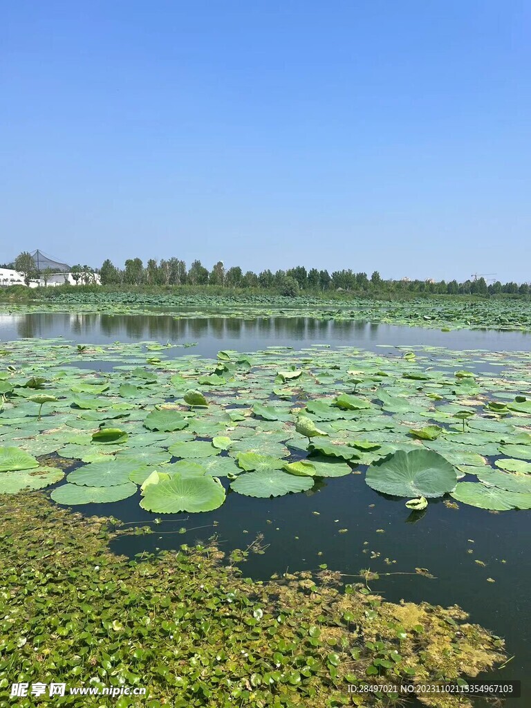碧水蓝天