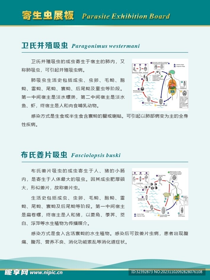 寄生虫展板