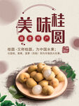 美味桂圆