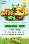 新鲜玉米