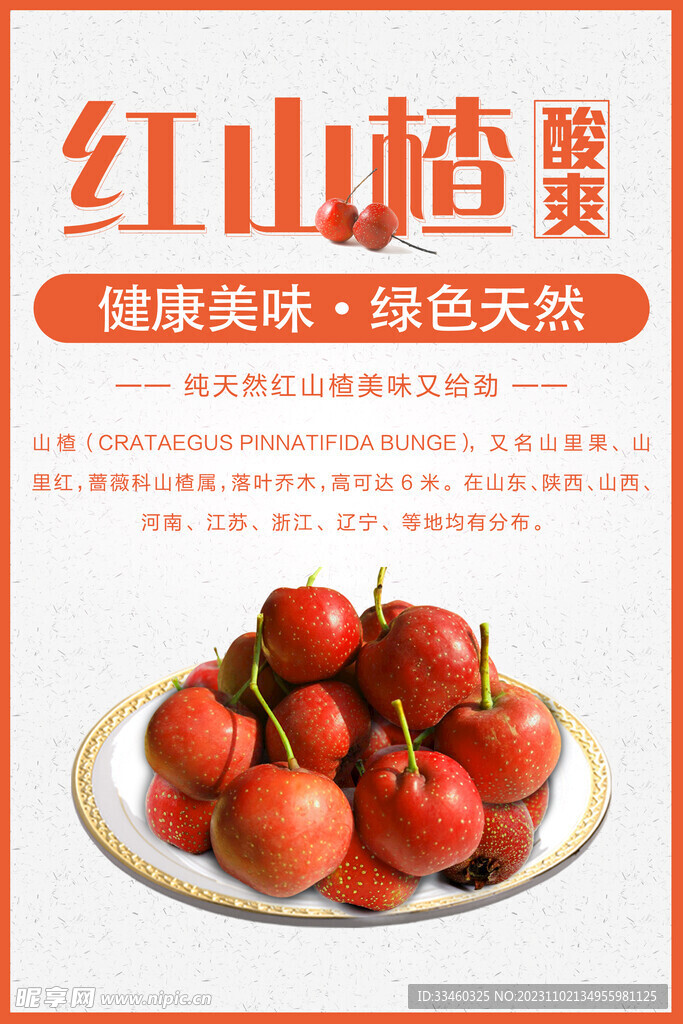 红山楂