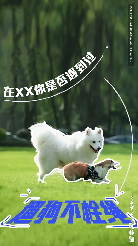 遛狗 宠物海报