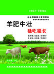 牛羊包装