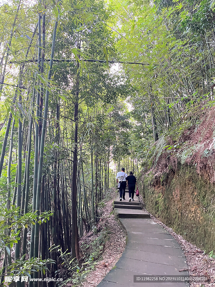 登山背影