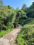 乡间小路