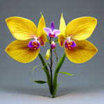 仿真蝴蝶兰，5朵花，护盾形根须，荧光效果，