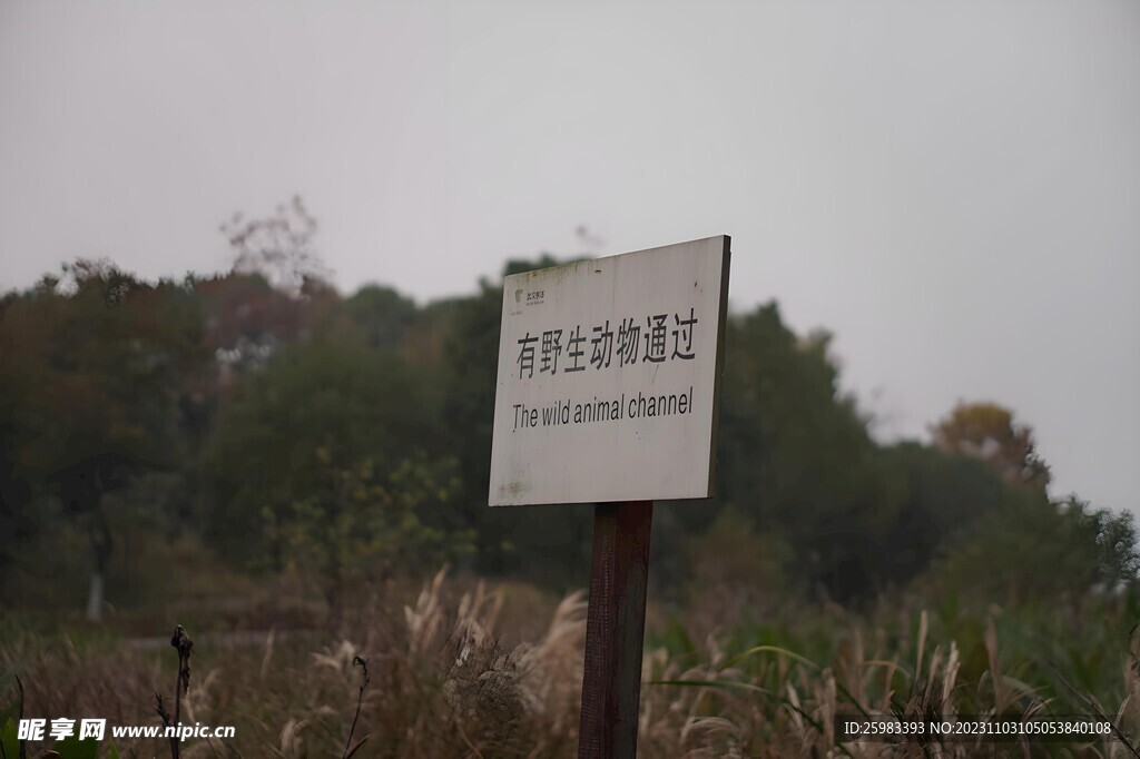警示牌