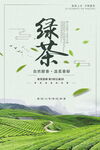 绿茶海报