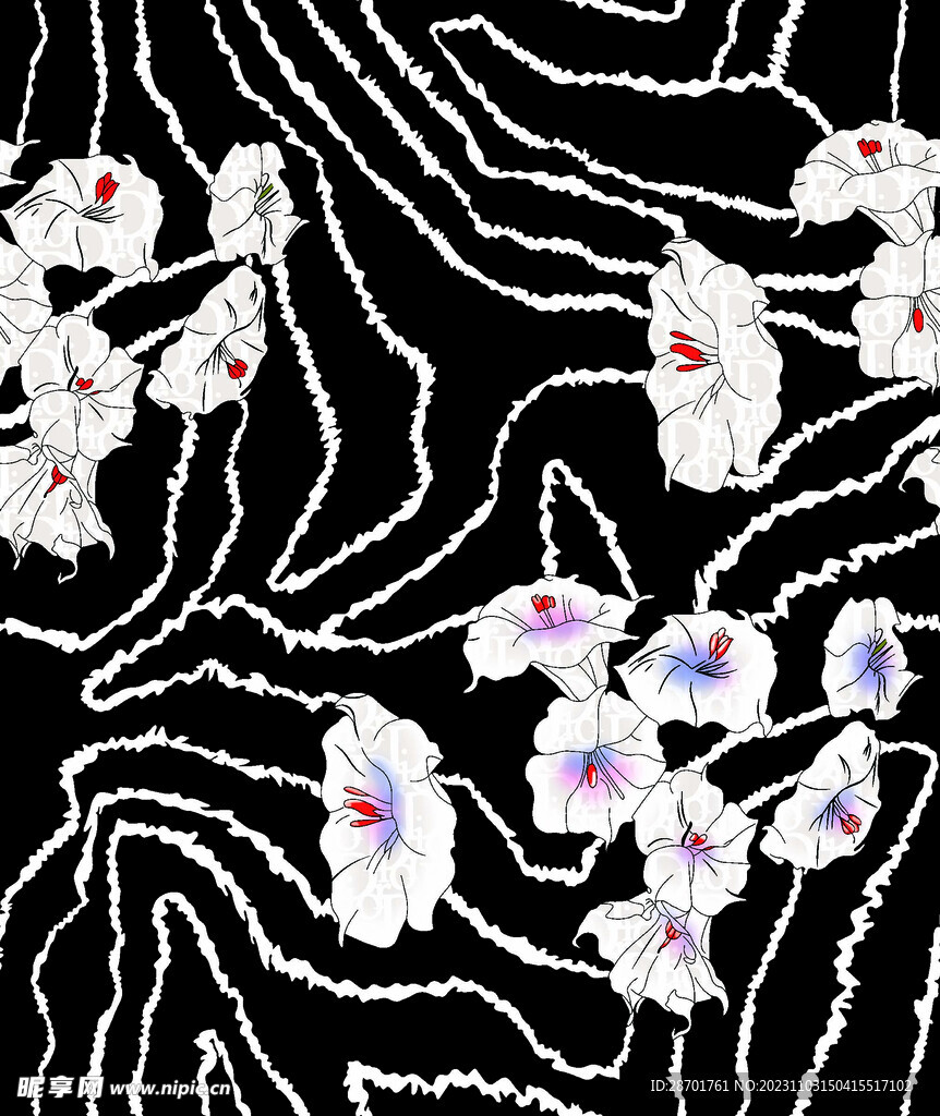 牵牛花 