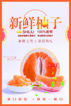 新鲜柚子