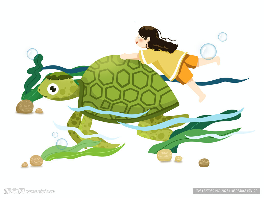乌龟插画