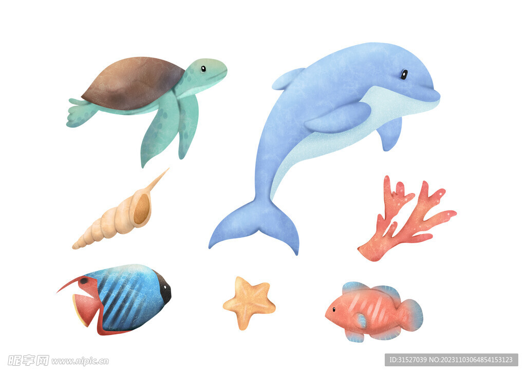 海洋生物插画
