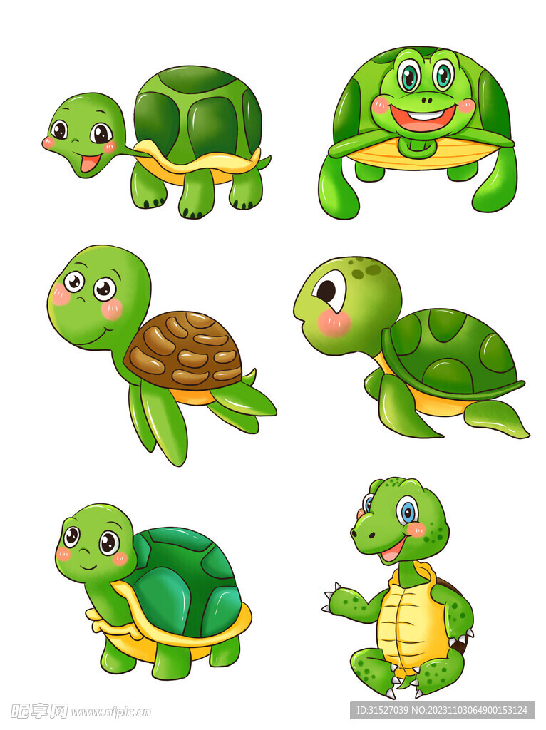 乌龟插画素材