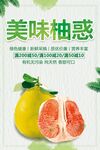 美味柚子