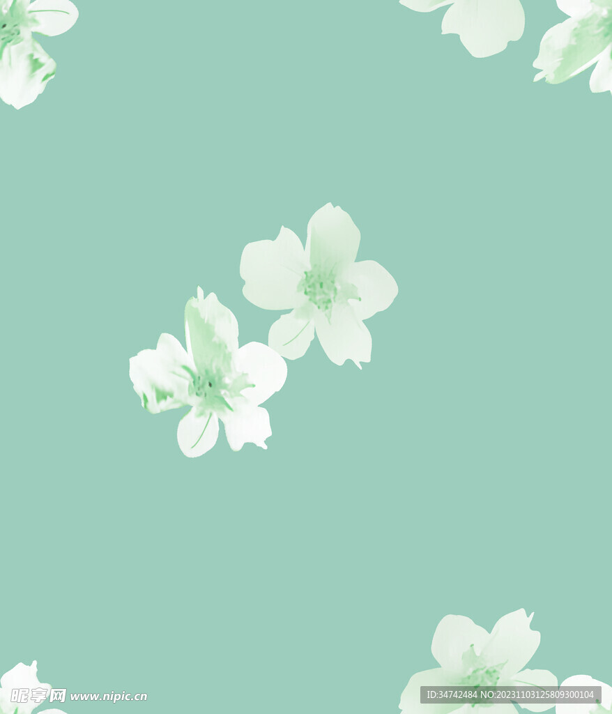 乱花 