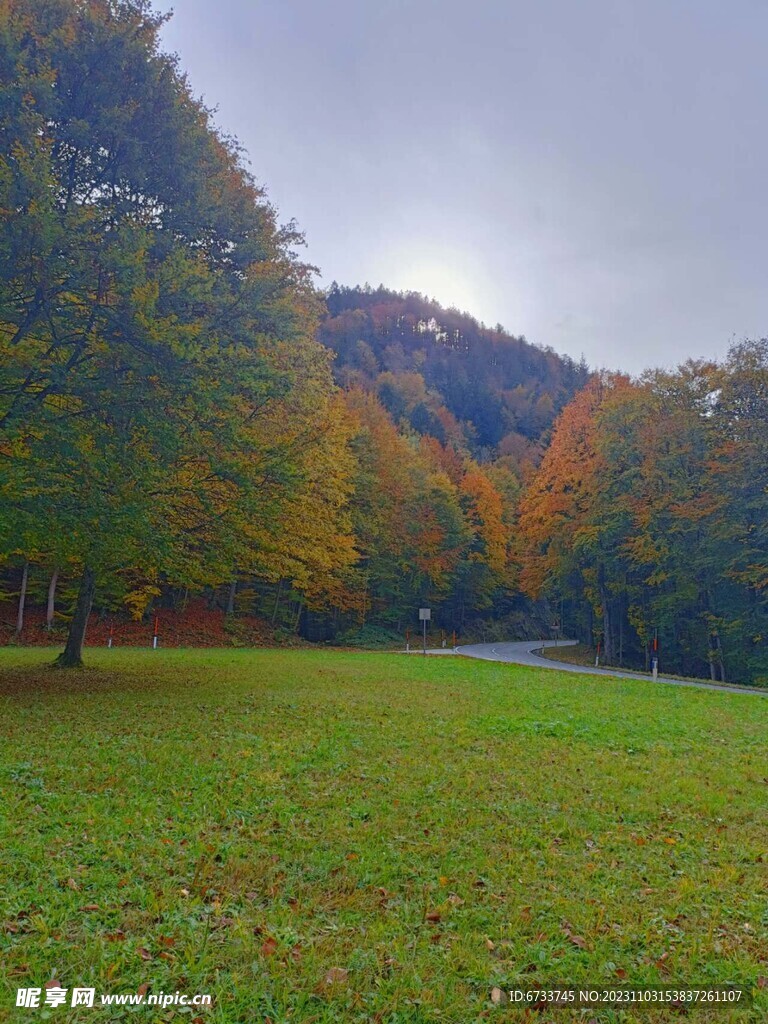 欧洲风景 枫叶 国外  